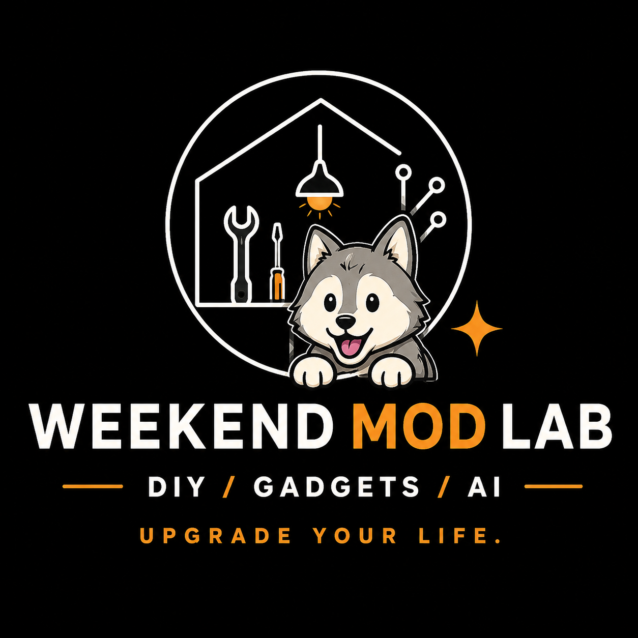 Weekend Mod Lab